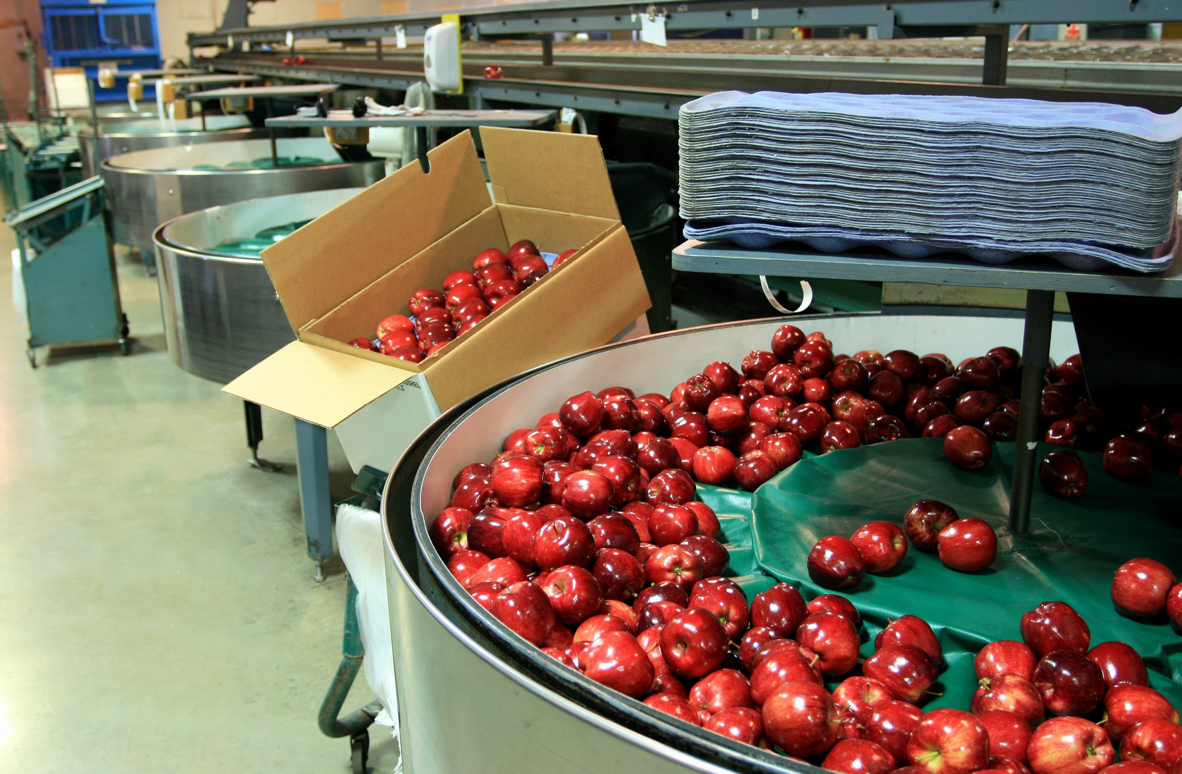 Why Food Industry Leaders Are Turning to Kanban to Prevent Fresh Food ...